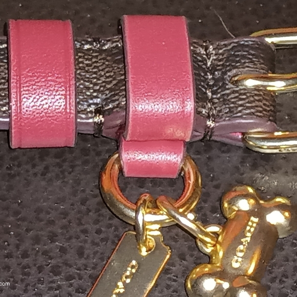 NWT Coach Signature Dog Color Size Small - Picture 5 of 9